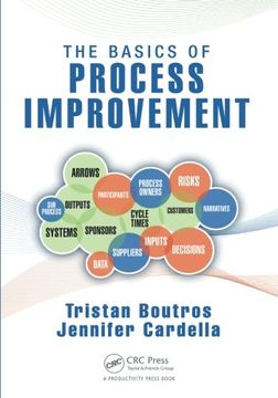portada The Basics of Process Improvement (in English)