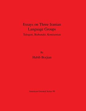 portada Essays on Three Iranian Language Groups: Taleqani, Biabanaki, Komisenian (in English)
