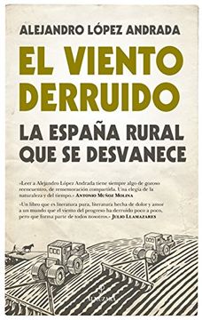 portada VIENTO DERRUIDO,EL (in Spanish)