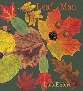portada Leaf man Board Book (in English)