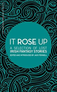 portada It Rose up: A Selection of Lost Irish Fantasy Stories (en Inglés)