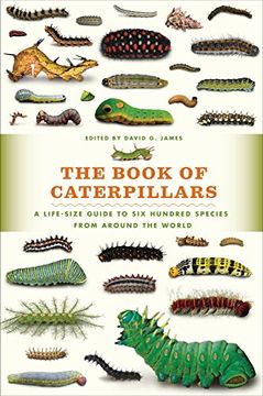 portada The Book of Caterpillars: A Life-Size Guide to Six Hundred Species from Around the World