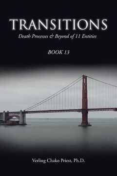 portada Transitions: Death Processes & Beyond of 11 Entities (en Inglés)