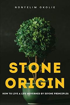 portada Stone Origin: How to Live a Life Governed by Divine Principles (in English)