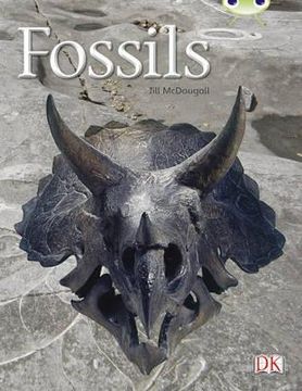 portada fossils gold 1 (en Inglés)