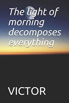 portada The Light of Morning Decomposes Everything: The Light of Morning Decomposes Everything (en Inglés)