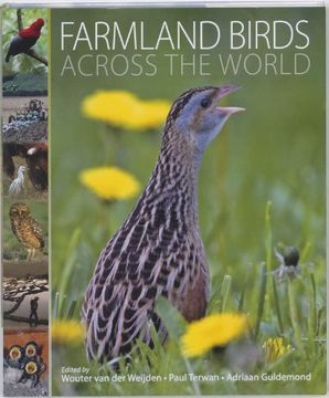 portada Farmland birds across the world (in English)