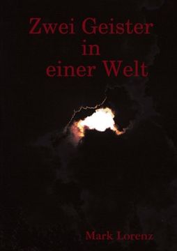 portada Zwei Geister in einer Welt (German Edition)