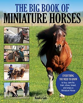 portada The big Book of Miniature Horses: Everything you Need to Know to Buy, Care For, Train, Show, Breed, and Enjoy a Miniature Horse of Your own (en Inglés)
