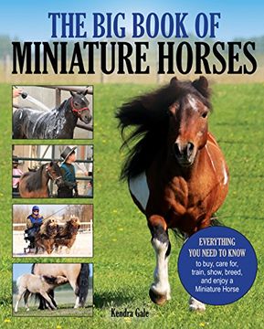 portada The big Book of Miniature Horses: Everything you Need to Know to Buy, Care For, Train, Show, Breed, and Enjoy a Miniature Horse of Your own 