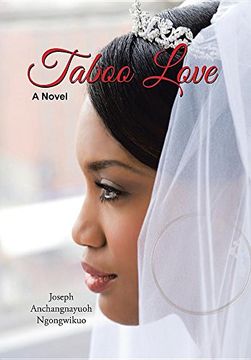 portada Taboo Love: A Novel (in English)