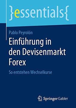 portada Einführung in den Devisenmarkt Forex: So Entstehen Wechselkurse (in German)