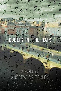 portada Dublin in the Rain 