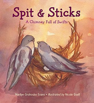 portada Spit & Sticks: A Chimney Full of Swifts (en Inglés)