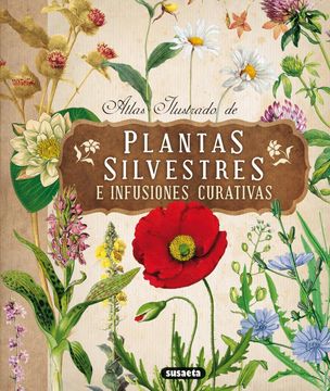 portada Atlas Ilustrado de Plantas Silvestres e Infusiones Curativas