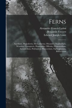 portada Ferns: Aspidium, Hypoderris, Mesochlaena, Oleandra, Nephrolepis, Woodsia, Cystopteris, Hemionitis, Olfersia, Hymenodium, Acro (en Inglés)