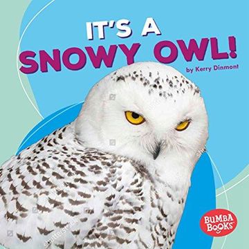 portada It s a Snowy Owl! (Paperback) 
