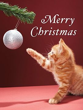 portada Christmas Kitty Boxed Holiday Full Notecards