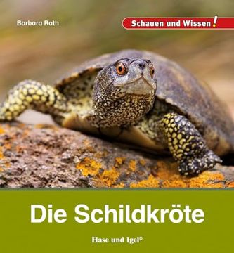 portada Die Schildkr? Te (in German)