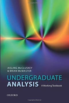 portada Undergraduate Analysis: A Working Textbook (in English)