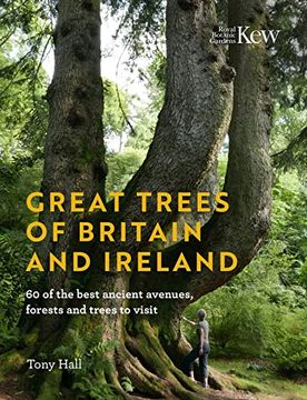 portada Great Trees of Britain and Ireland: 60 of the Best Ancient Avenues, Forests and Trees to Visit (en Inglés)