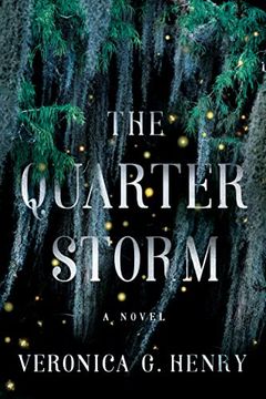 portada The Quarter Storm: A Novel: 1 (Mambo Reina) (in English)
