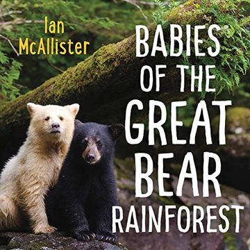 portada Babies of the Great Bear Rainforest (in English)