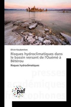 portada Risques hydroclimatiques dans le bassin versant de l'Ouémé à Bétérou