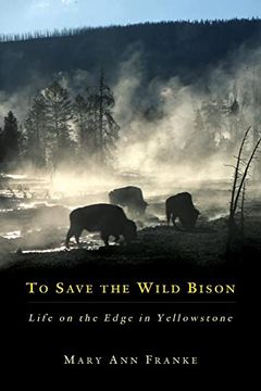 portada To Save the Wild Bison: Life on the Edge in Yellowstone (in English)