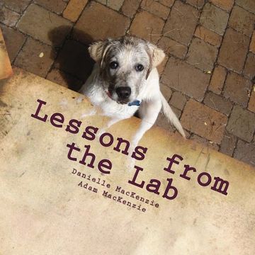 portada Lessons from the Lab: 26 Life Lessons You Can Learn from a Dog...A to Z