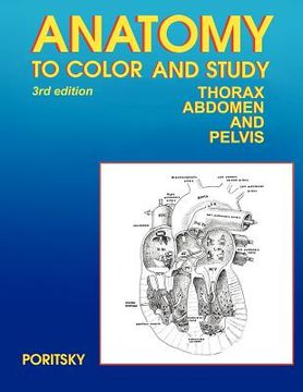 portada anatomy to color and study thorax third edition (en Inglés)