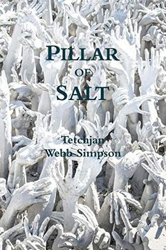 portada Pillar of Salt (en Inglés)