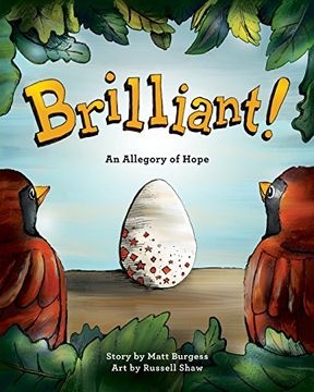 portada Brilliant!: An Allegory of Hope (About Adoption & Fostering)