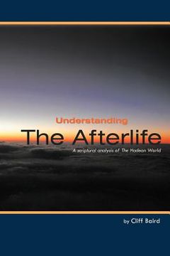 portada understanding the afterlife