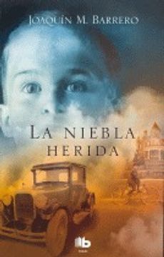 portada LA NIEBLA HERIDA (B DE BOLSILLO MAXI) (in Spanish)