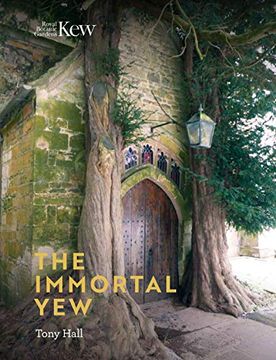 portada Immortal Yew, the (en Inglés)