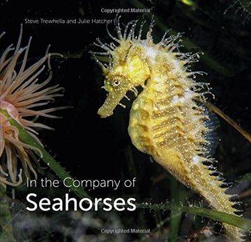 portada In the Company of Seahorses
