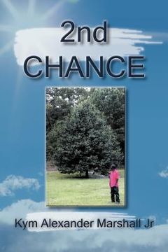 portada 2nd chance (en Inglés)