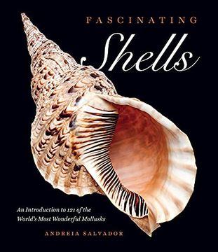 portada Fascinating Shells: An Introduction to 121 of the World’S Most Wonderful Mollusks (in English)