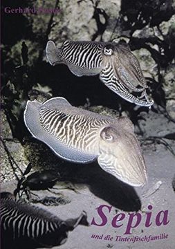portada Sepia und die Tintenfischfamilie (German Edition)