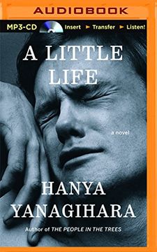 portada A Little Life: A Novel