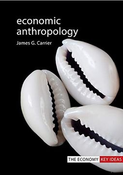 portada Economic Anthropology (The Economy key Ideas) (in English)