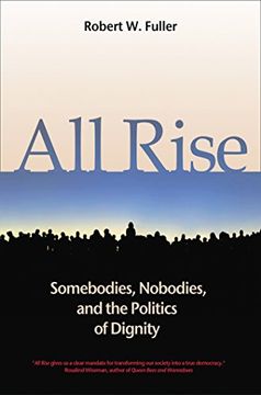 portada All Rise: Somebodies, Nobodies, and the Politics of Dignity (in English)