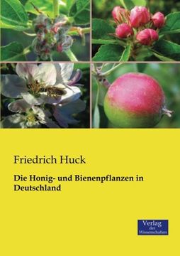 portada Die Honig- und Bienenpflanzen in Deutschland