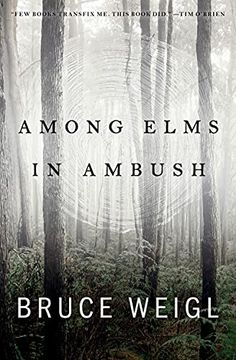 portada Among Elms, in Ambush 