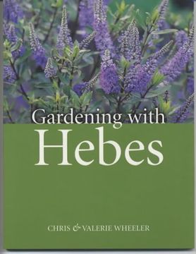 portada Gardening Hebes (en Inglés)