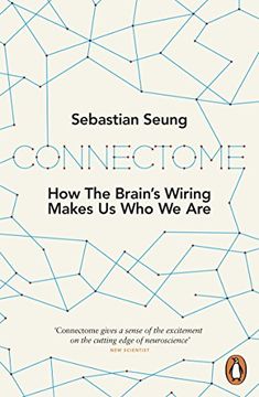portada Connectome: How the Brain's Wiring Makes Us Who We Are