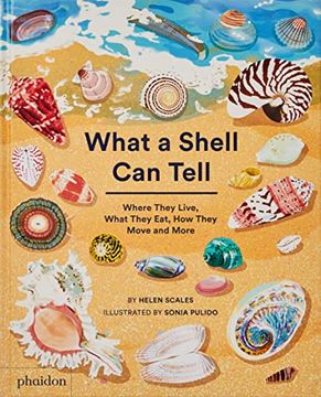 portada What a Shell can Tell (Childrens Books) (en Inglés)