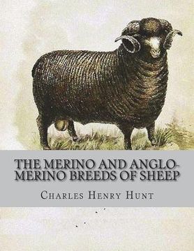 portada The Merino and Anglo-Merino Breeds of Sheep (en Inglés)