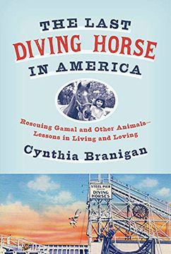 portada The Last Diving Horse in America: Rescuing Gamal and Other Animals--Lessons in Living and Loving (en Inglés)